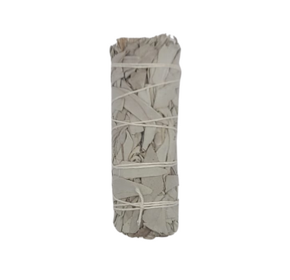 Bundled sage smudge stick on a white background